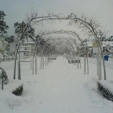 Baltic Sea Pearl In * Baabe